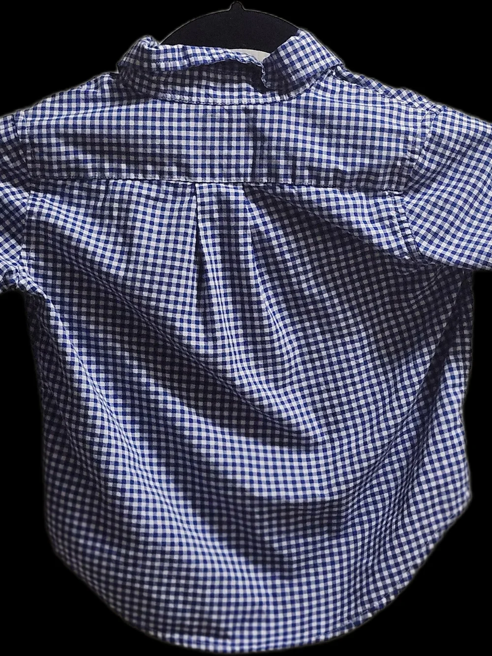Ralph Lauren Navy and White Gingham Button-Down Shirt